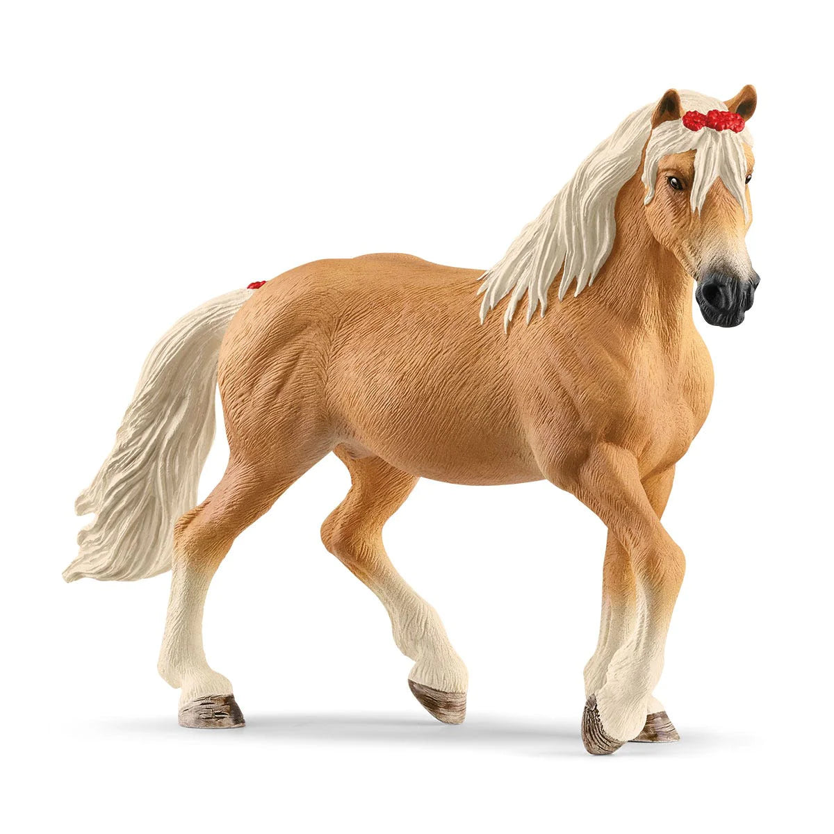 Horse Haflinger Mare