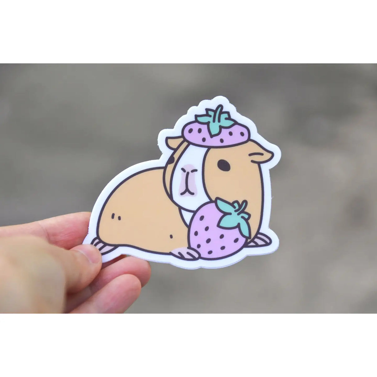 Guinea Pig and Strawberries Sticker