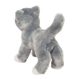 Gray Cat Scatter