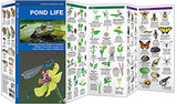 Pocket Pond Life Guide