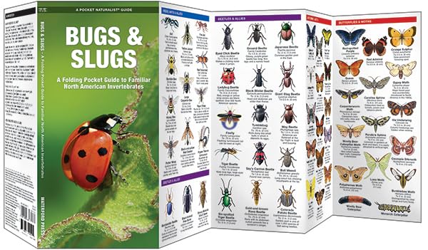 Pocket Bugs & Slugs