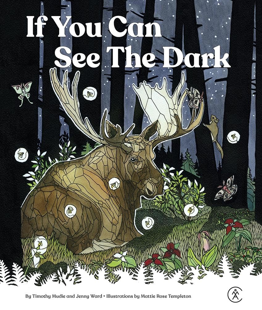 If You Can See in the Dark