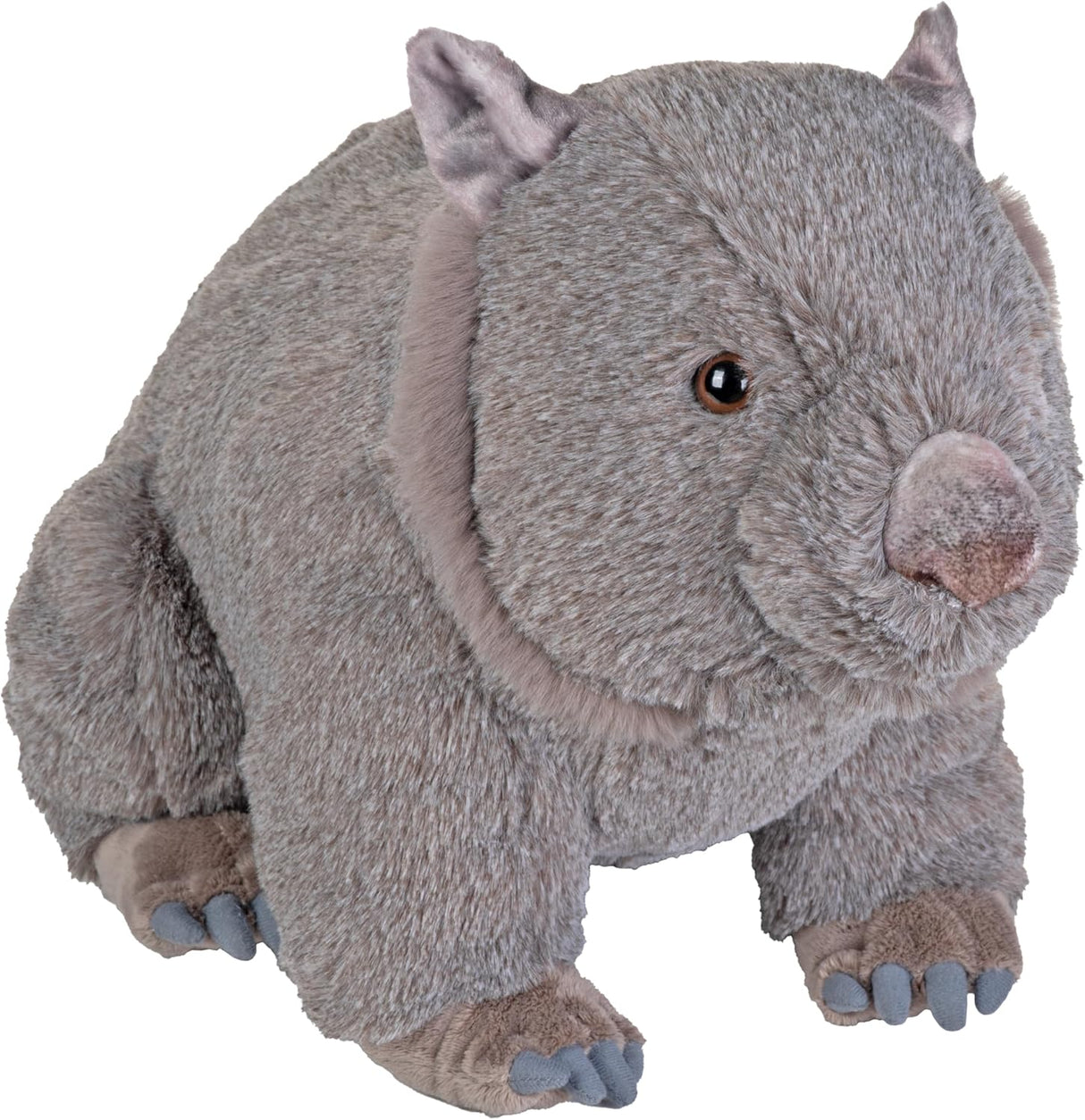 Wombat