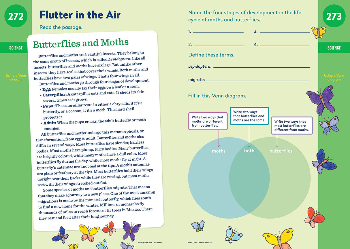 Brain Quest Workbook Grade 3