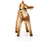 White-Tailed Fawn