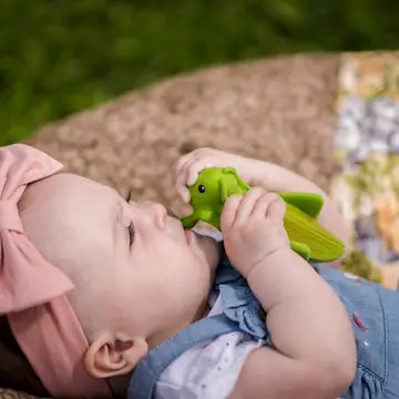 Organic Rubber Teether Rattle | Grasshopper