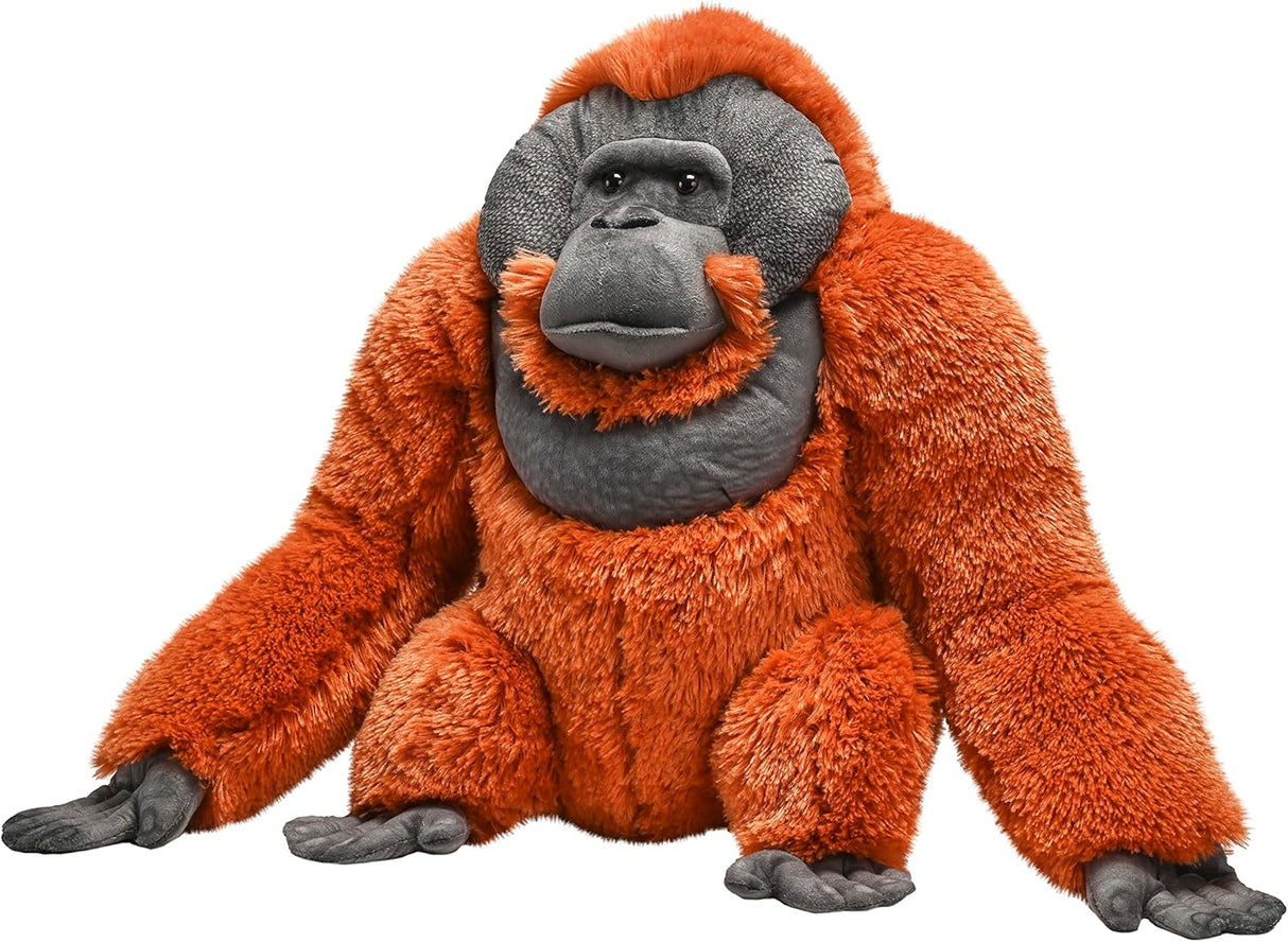 Orangutan