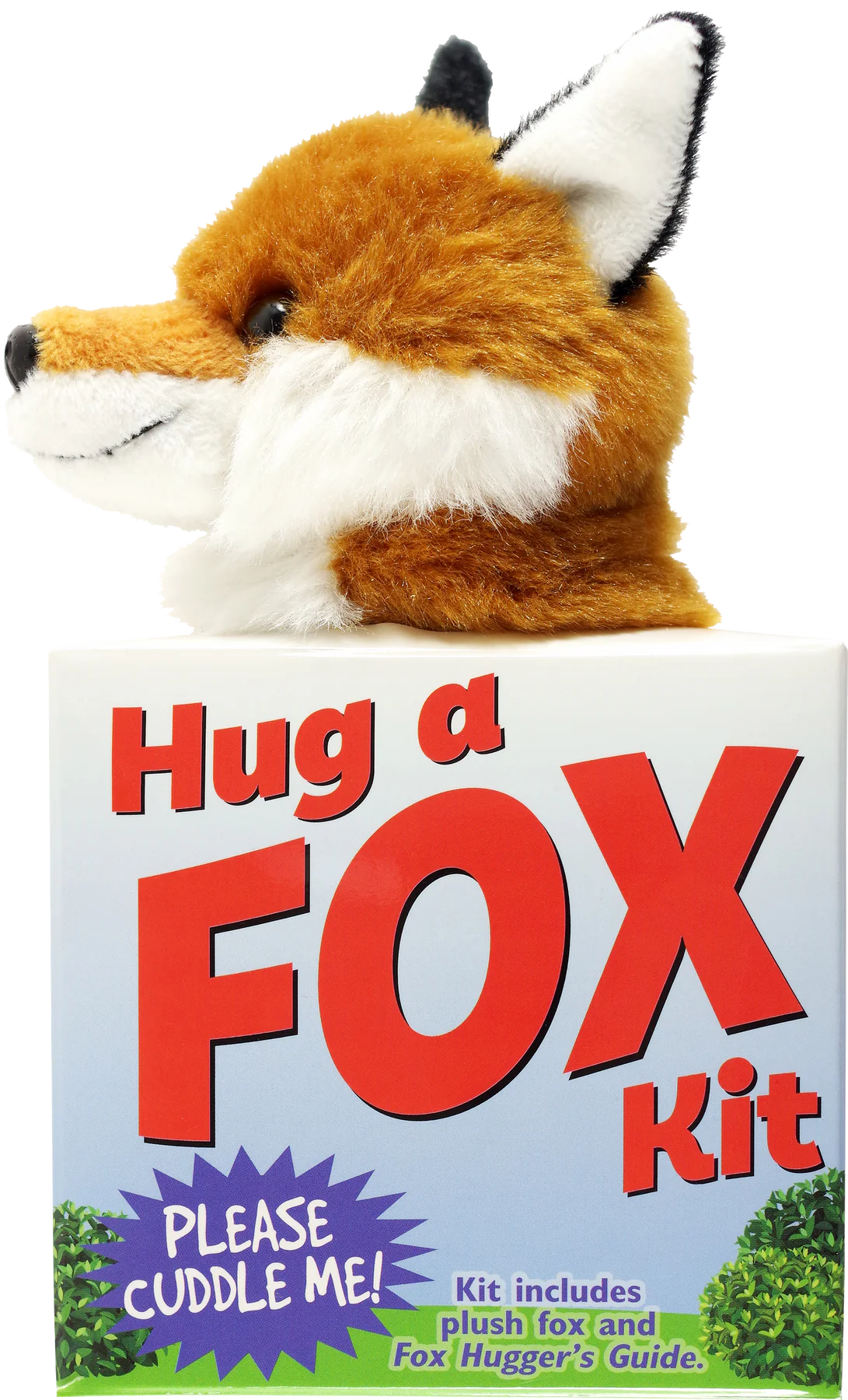 Hug a Fox Kit