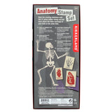 Anatomy Stamp Set