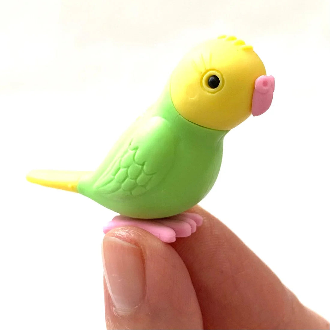 Japanese Eraser Bird