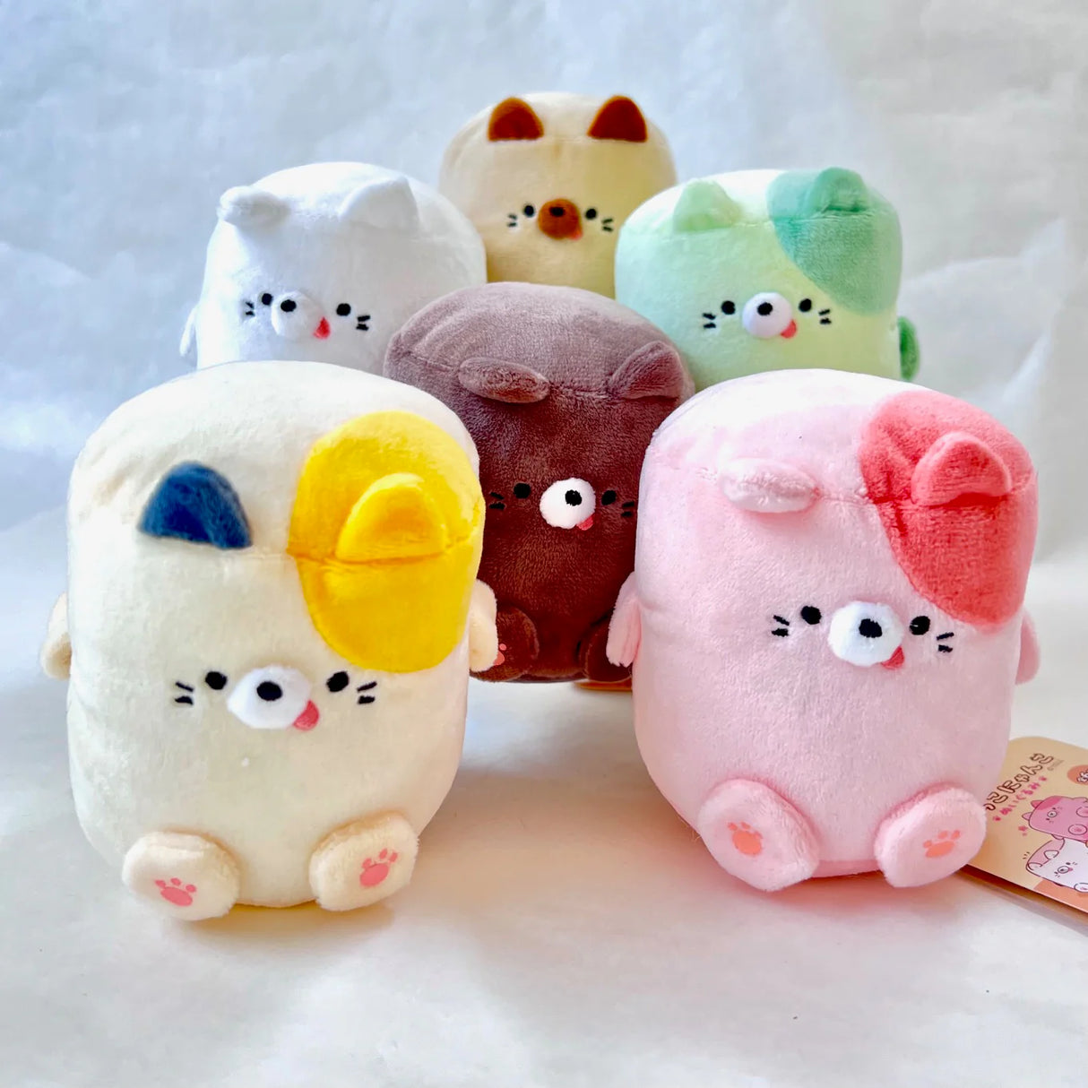 Marshmallow Cat