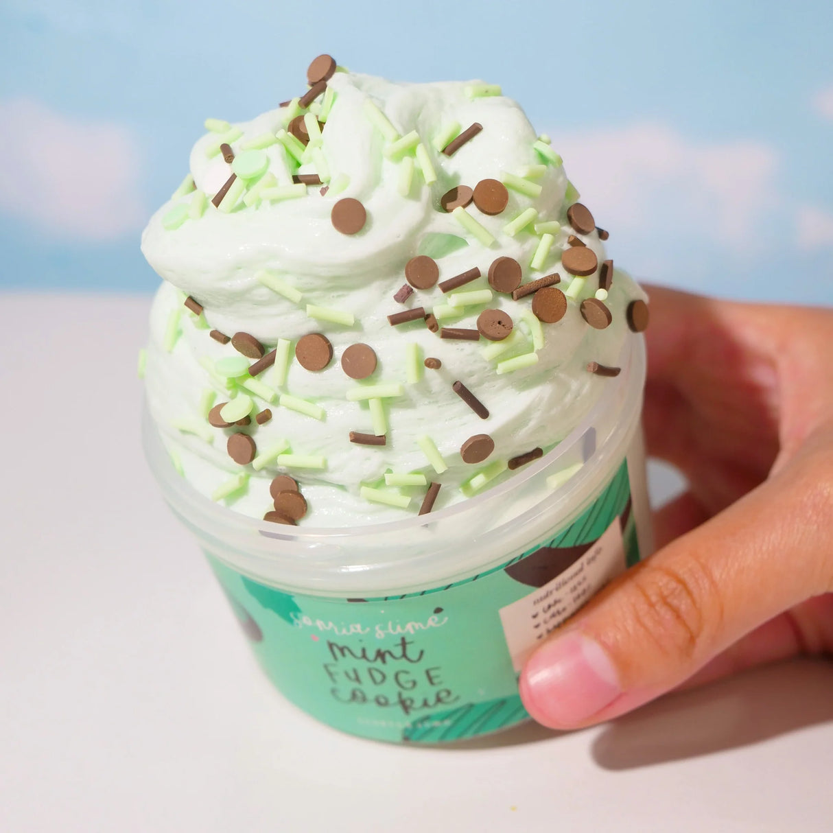 Mint Fudge Cookie Ice Cream Slime