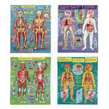 48pc Human Anatomy Puzzles