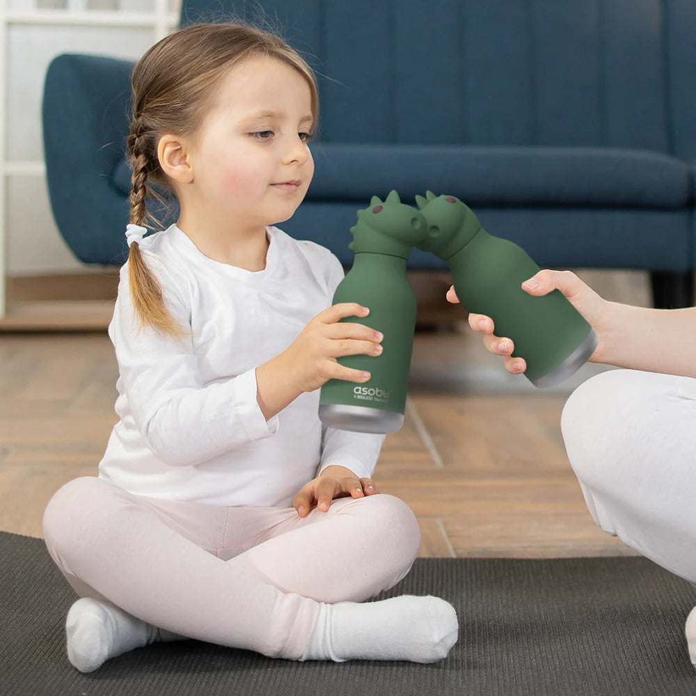 Asobu Water Bottle | Dinosaur