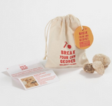 Break Your Own Geodes Bag