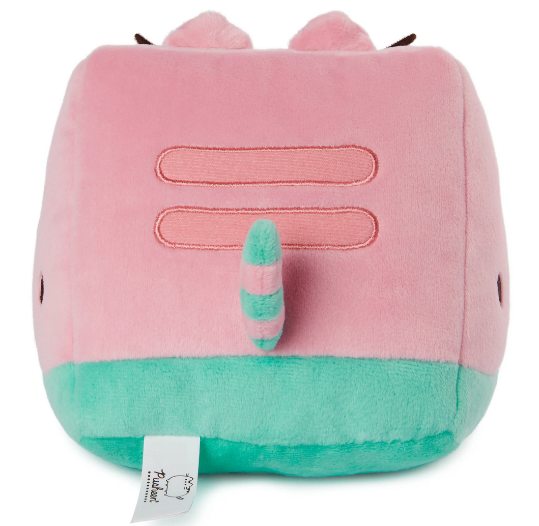 Pusheen Watermelon