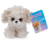 Boo & Friends Maltipoo