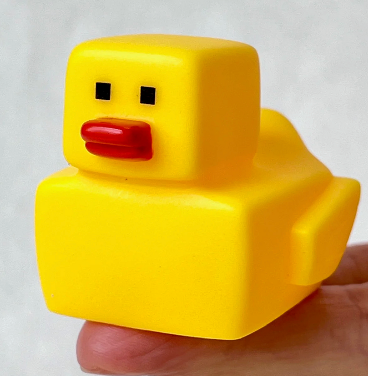 Square Duck