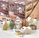 Playful Cat Blind Box