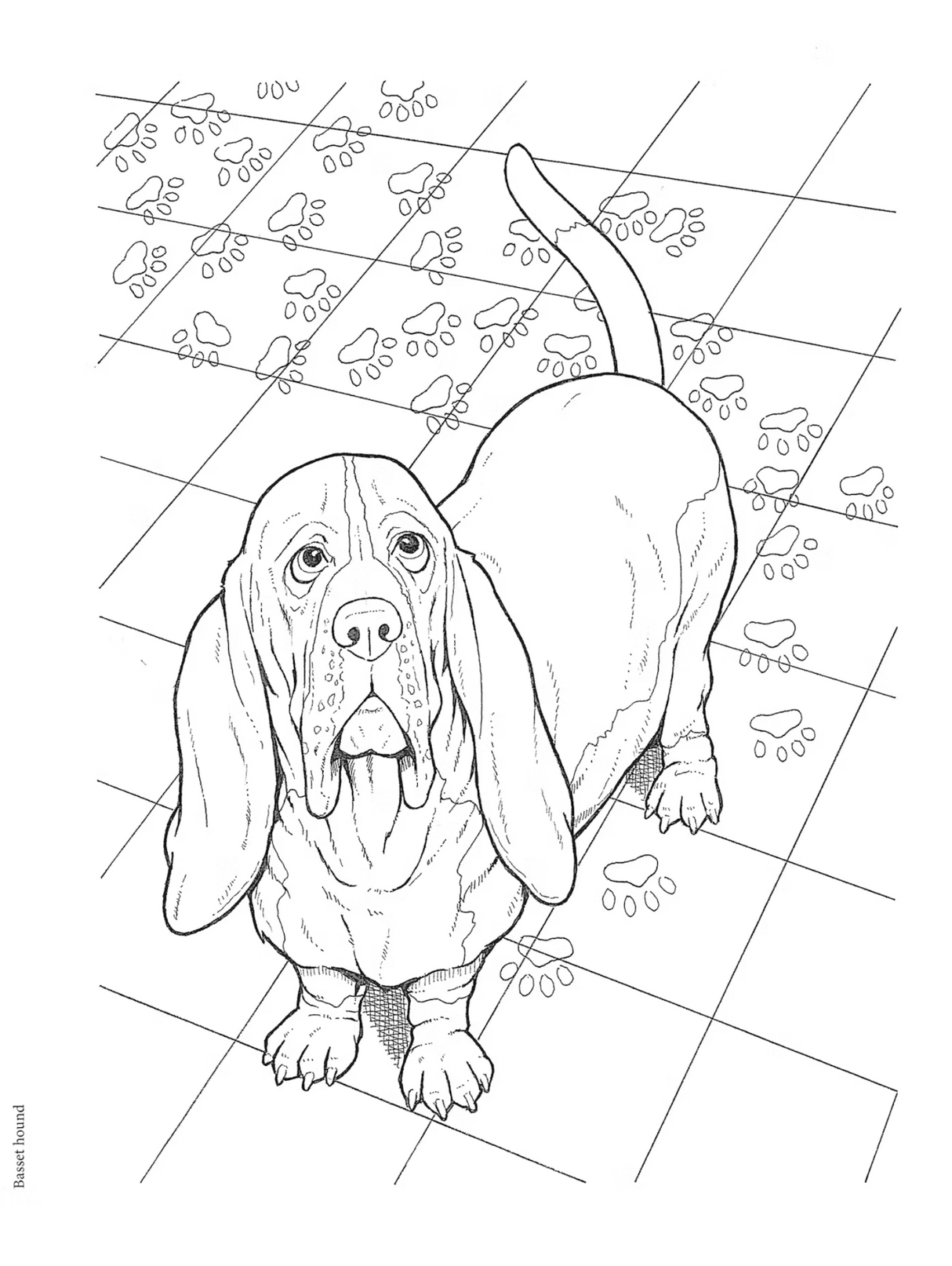 Dog Lovers Coloring Book