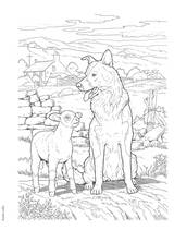 Dog Lovers Coloring Book