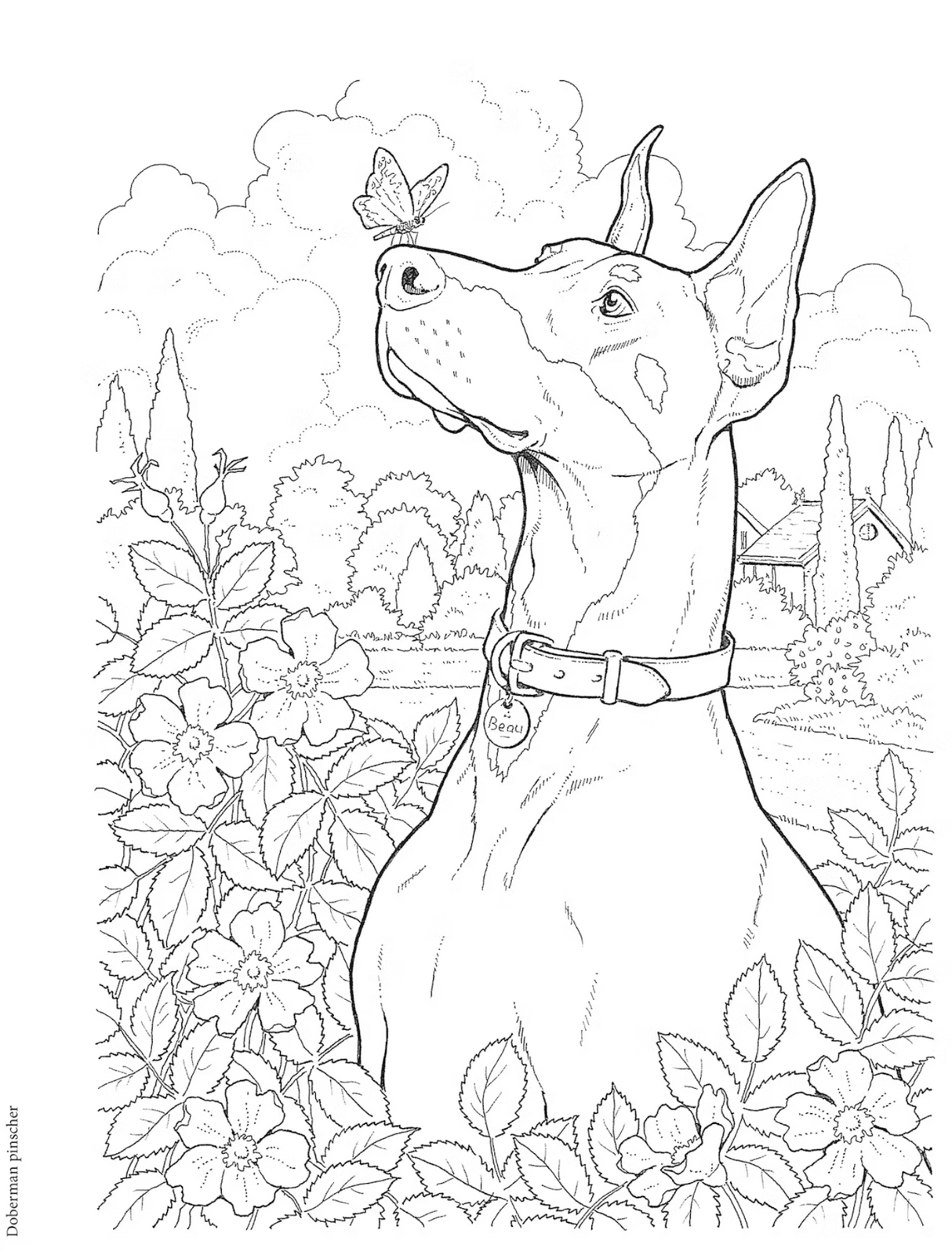 Dog Lovers Coloring Book