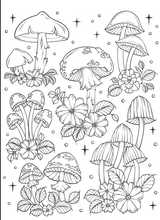 Art of Mushrooms Coloring Book