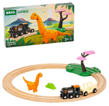 Dinosaur Circle Set