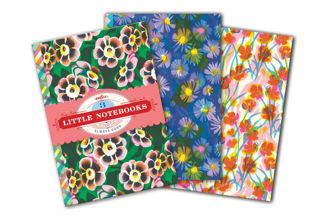 Little Notebooks | Asta's