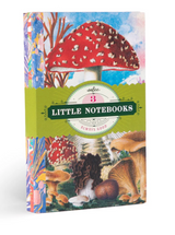 Little Notebooks | Fumiha's