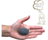 Classic Pet Rock