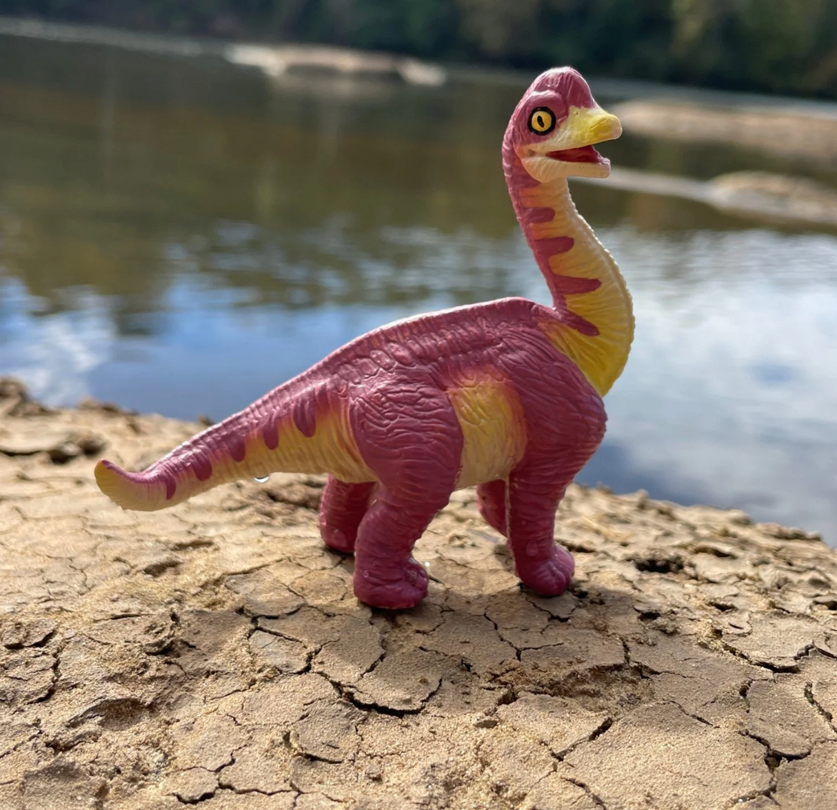 Brachiosaurus Baby