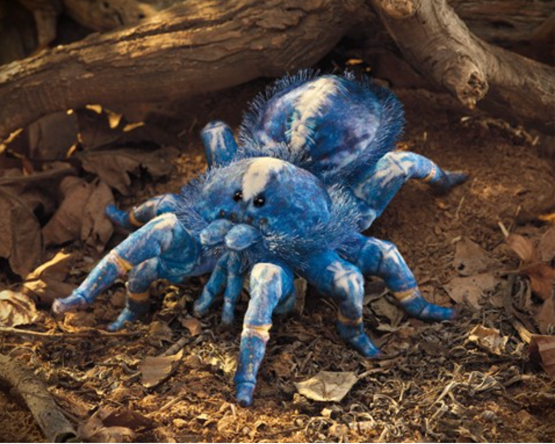 Blue Tarantula Spider Puppet