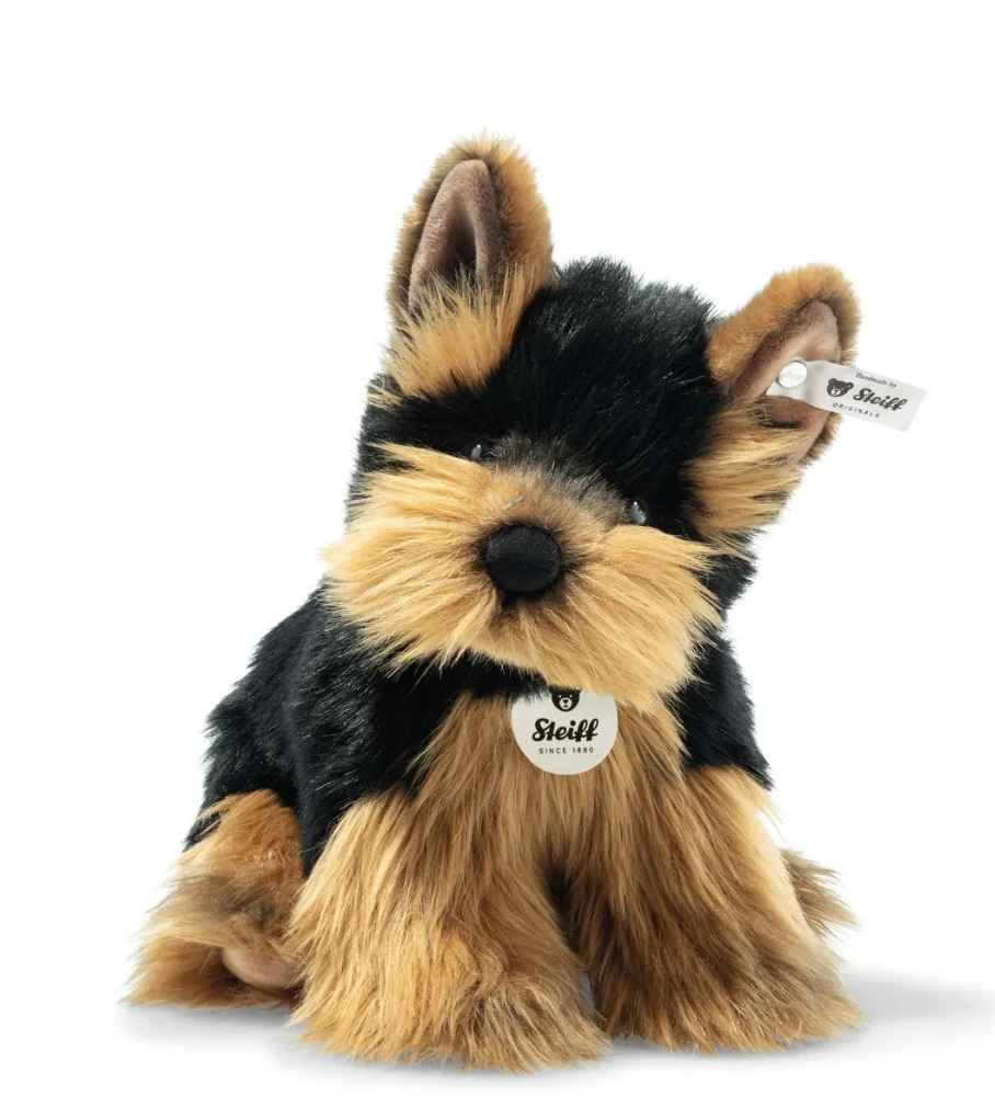 Yorkshire Terrier Herkules