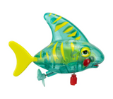 Z Wind Ups | Tiger Shark Seymore