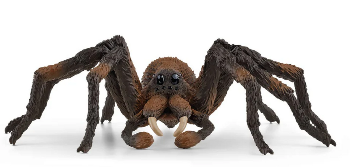 HP Aragog