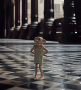 HP Dobby