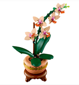 Bontanicals Mini Orchid