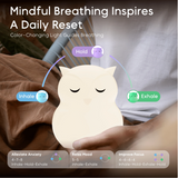 Breathing Pal | Ollie the Owl