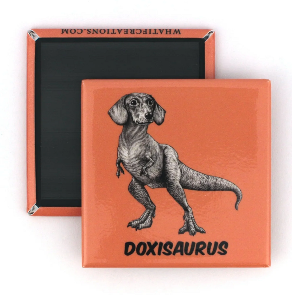 Doxisaurus Magnet