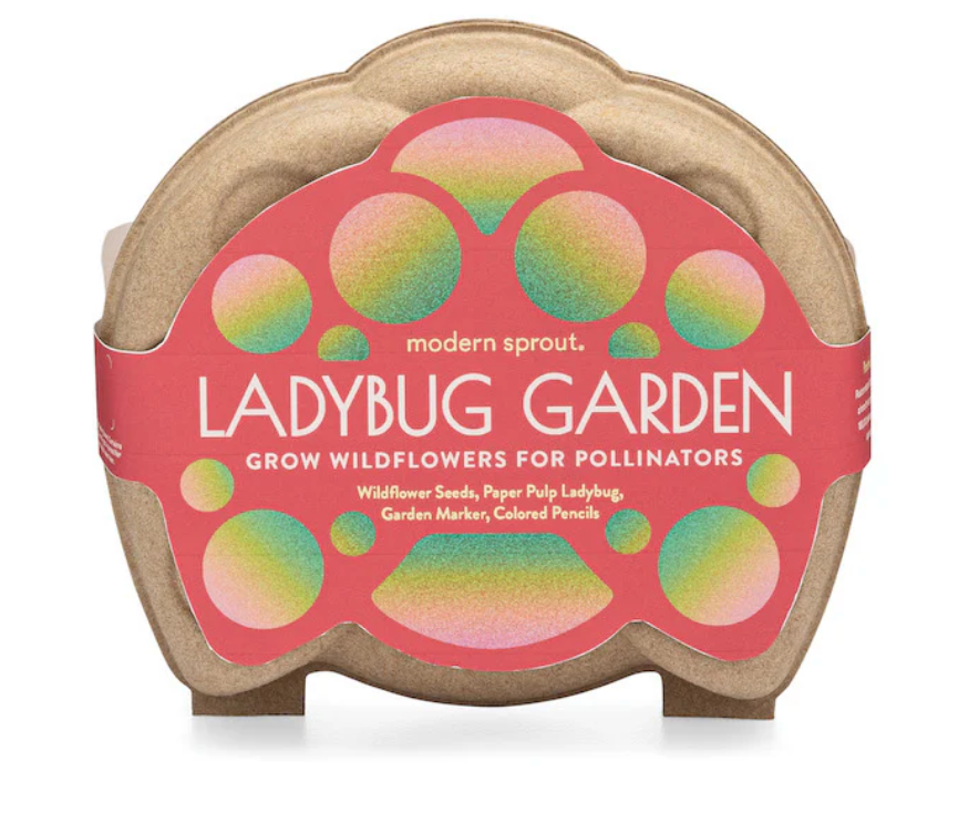 Curious Critters Ladybug Activity Kit