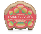 Curious Critters Ladybug Activity Kit