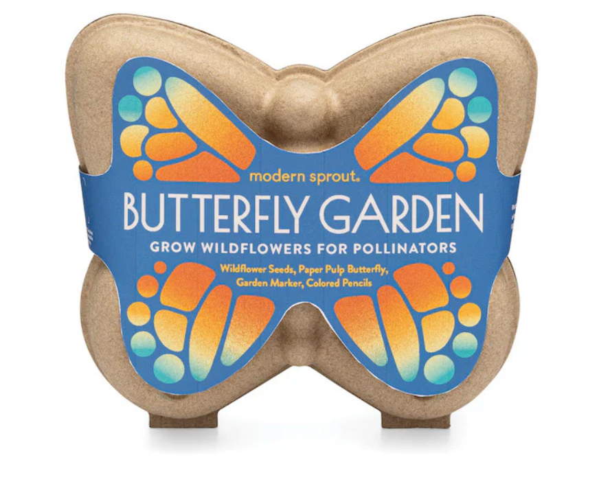 Curious Critters Butterfly Activity Kit