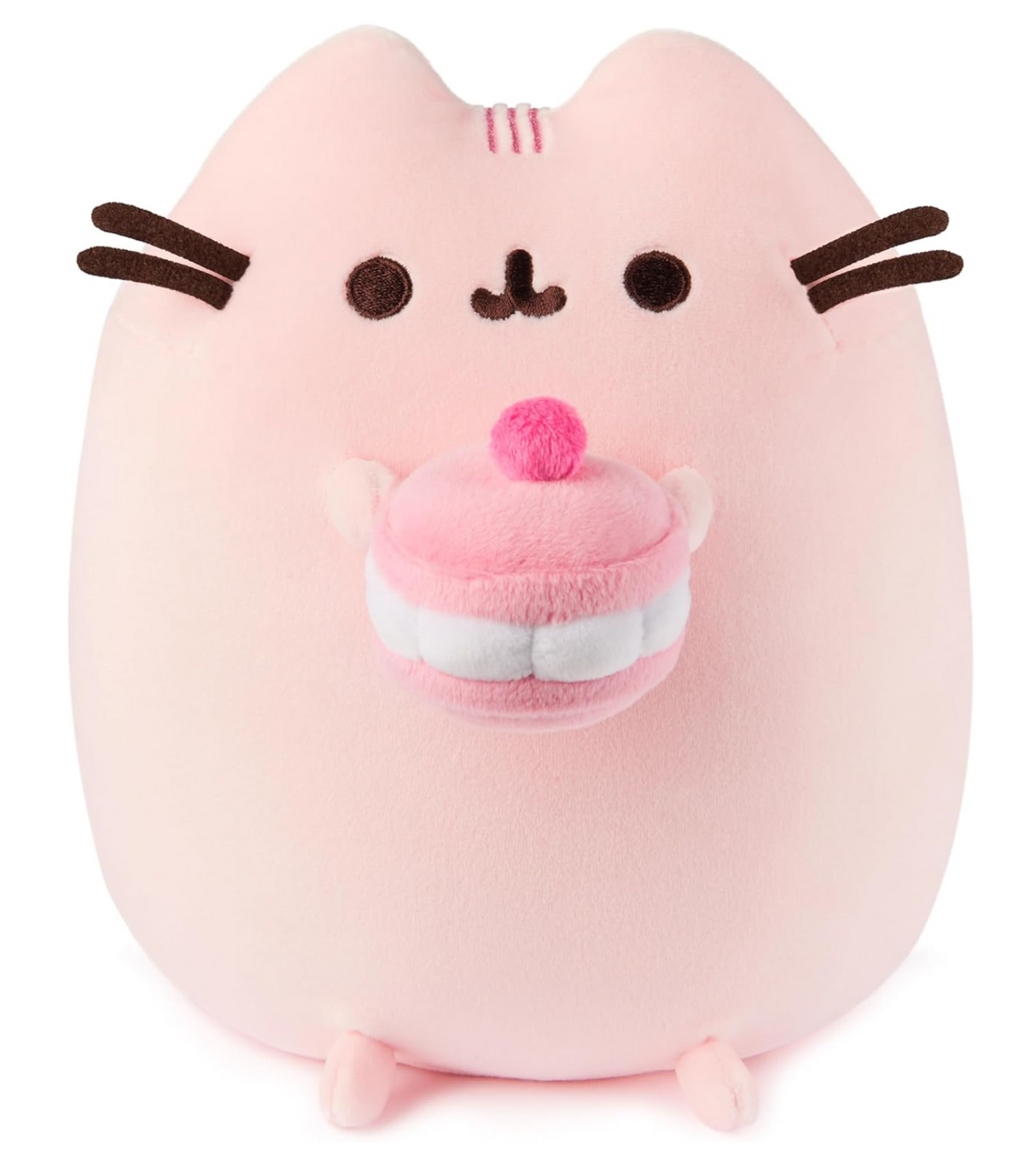 Pusheen Cherry Macaron