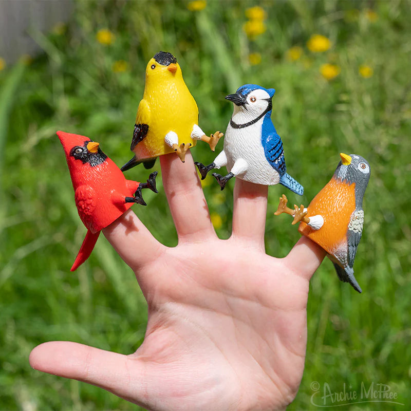 Finger Bird Feeder Bird