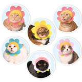 Cat Cap Blind Box | Flower