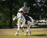 Hytyme Legend Kentucky Horse Park Police Horse