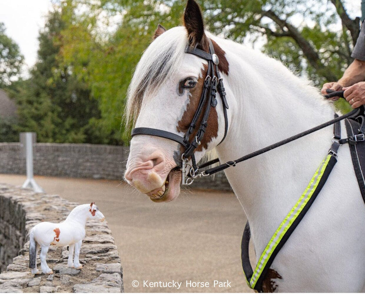 Hytyme Legend Kentucky Horse Park Police Horse