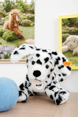 Dalmation Puppy Lupi