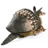 Armadillo Puppet